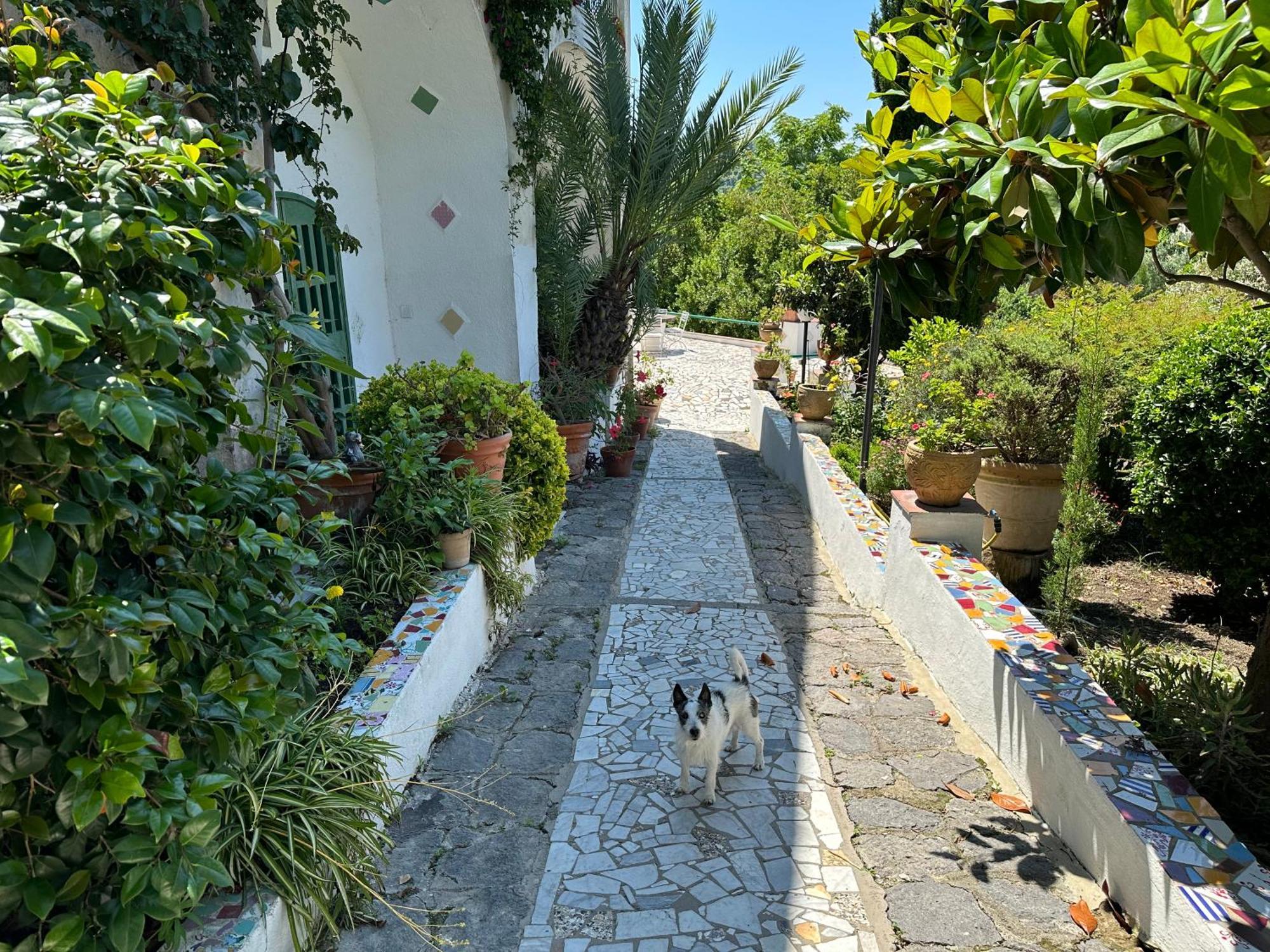 Villa Vincenzo Di Meglio Barano dʼIschia Exterior foto