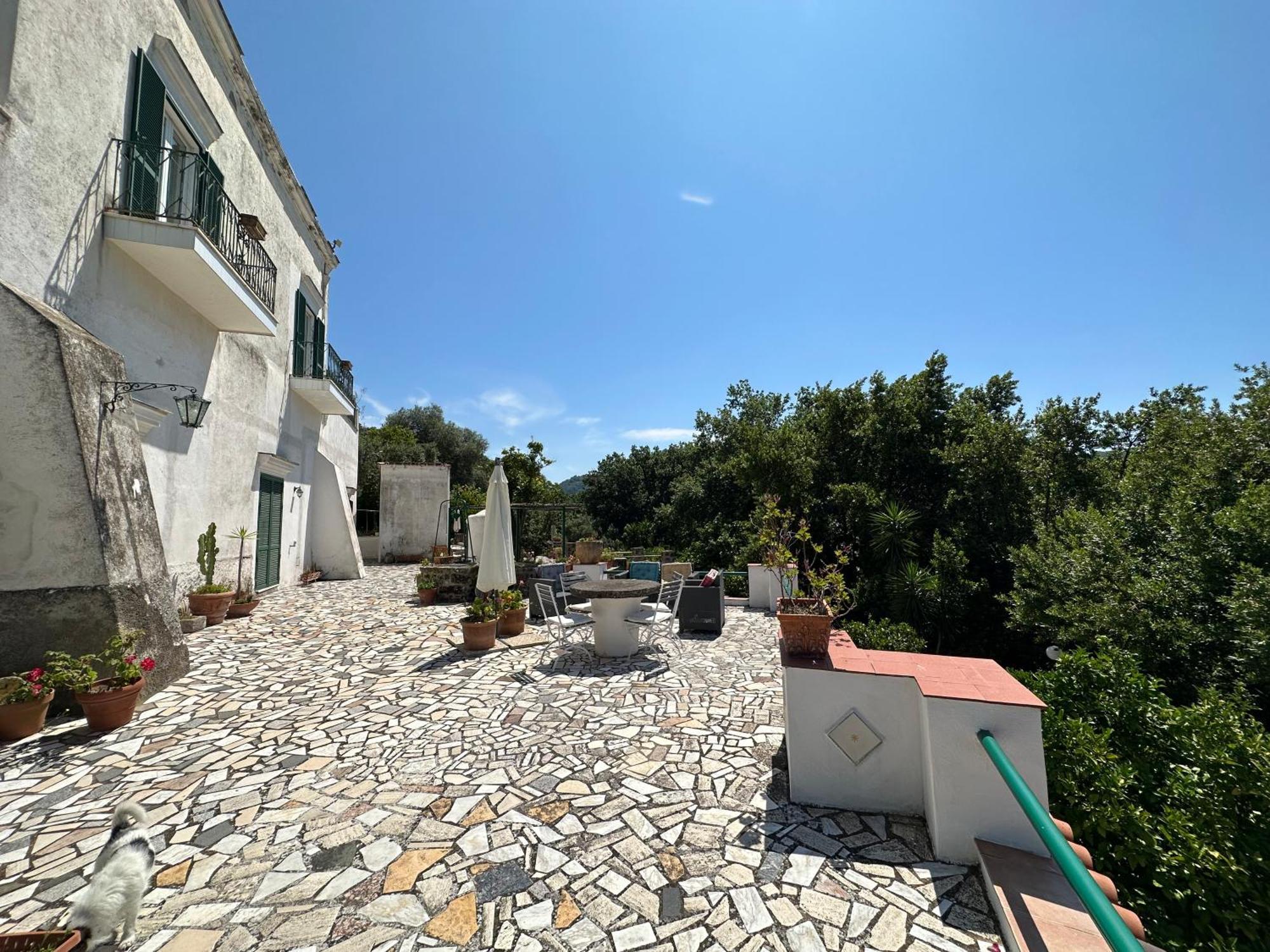 Villa Vincenzo Di Meglio Barano dʼIschia Exterior foto