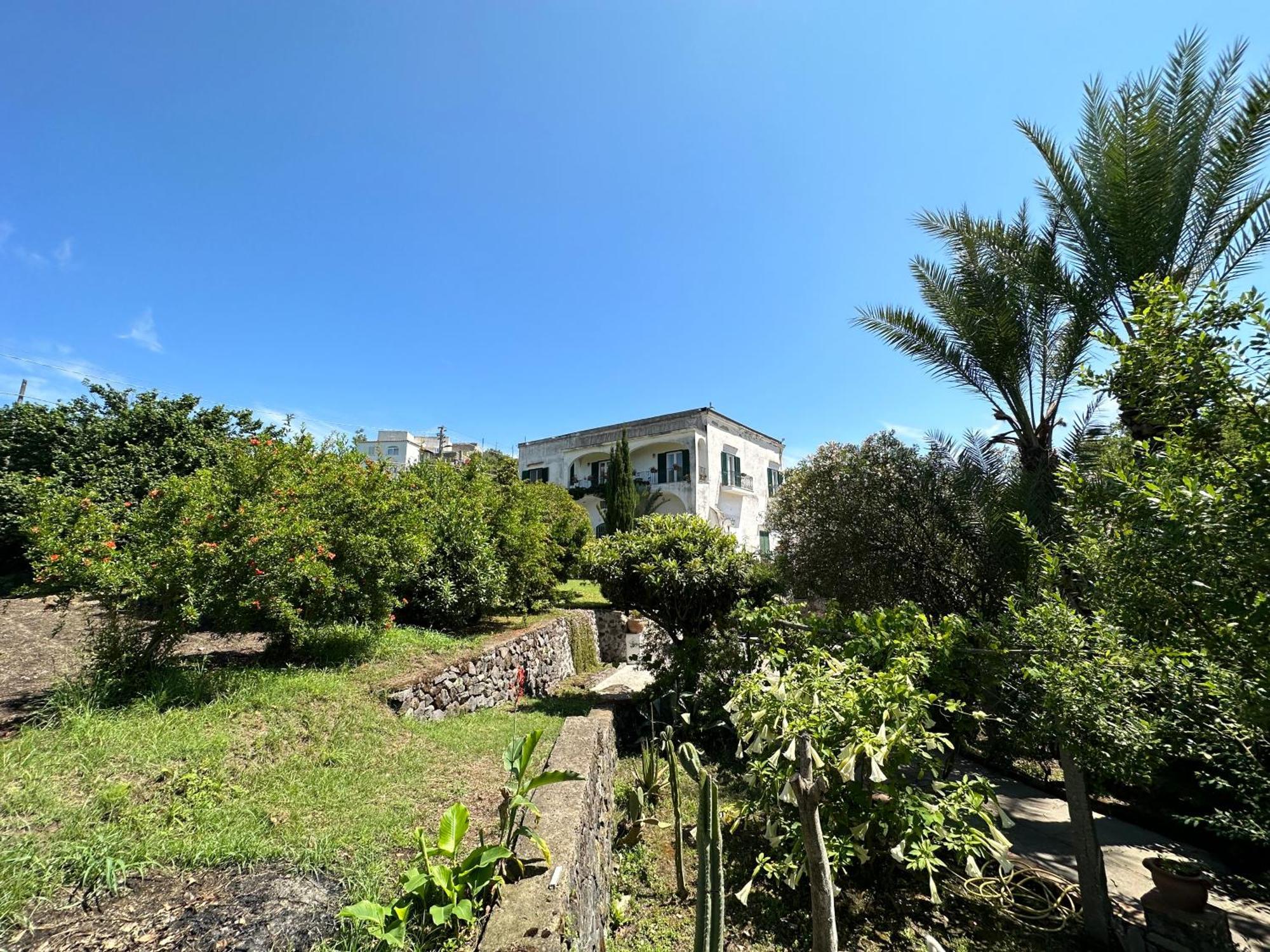 Villa Vincenzo Di Meglio Barano dʼIschia Exterior foto
