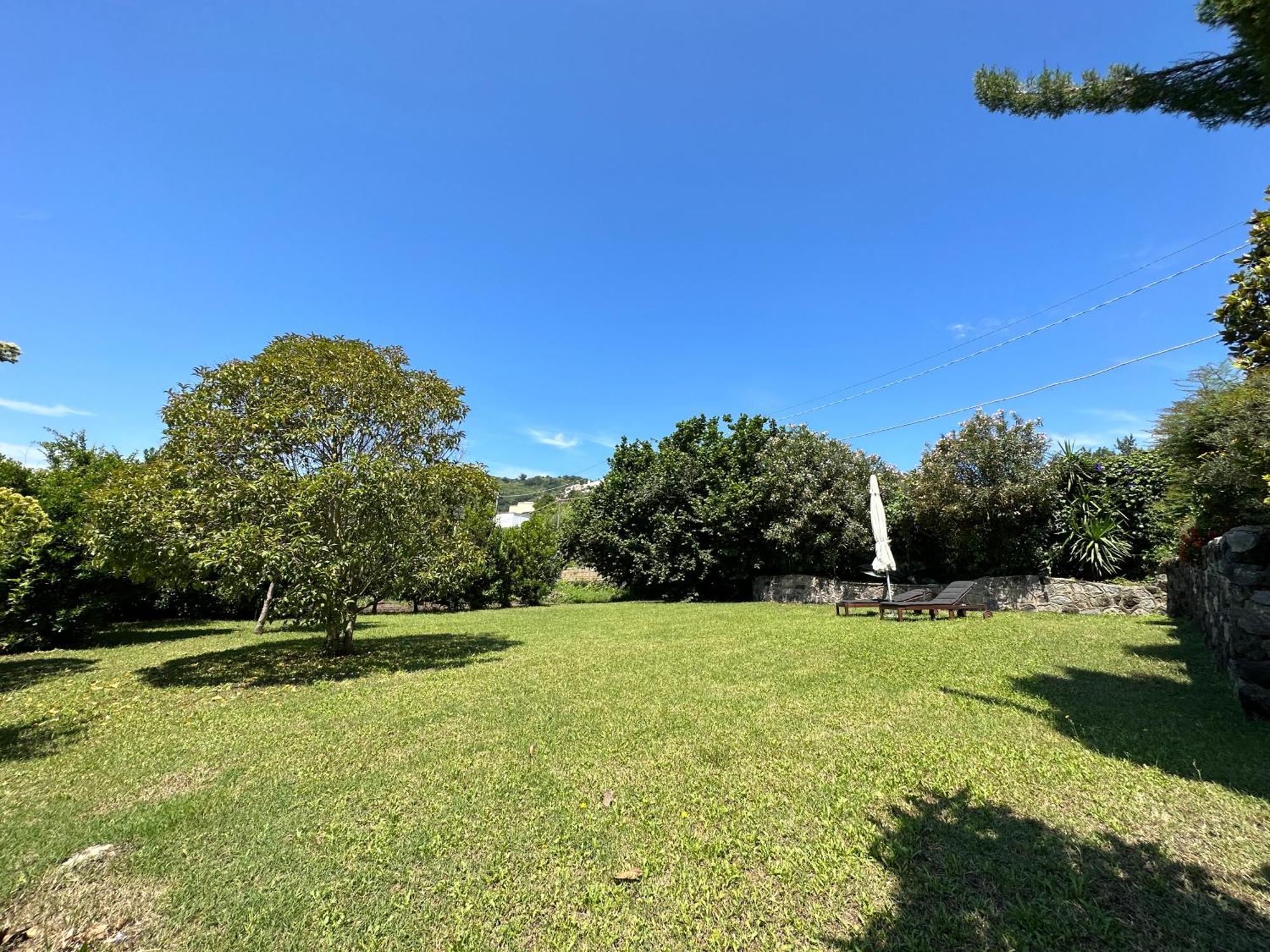 Villa Vincenzo Di Meglio Barano dʼIschia Exterior foto