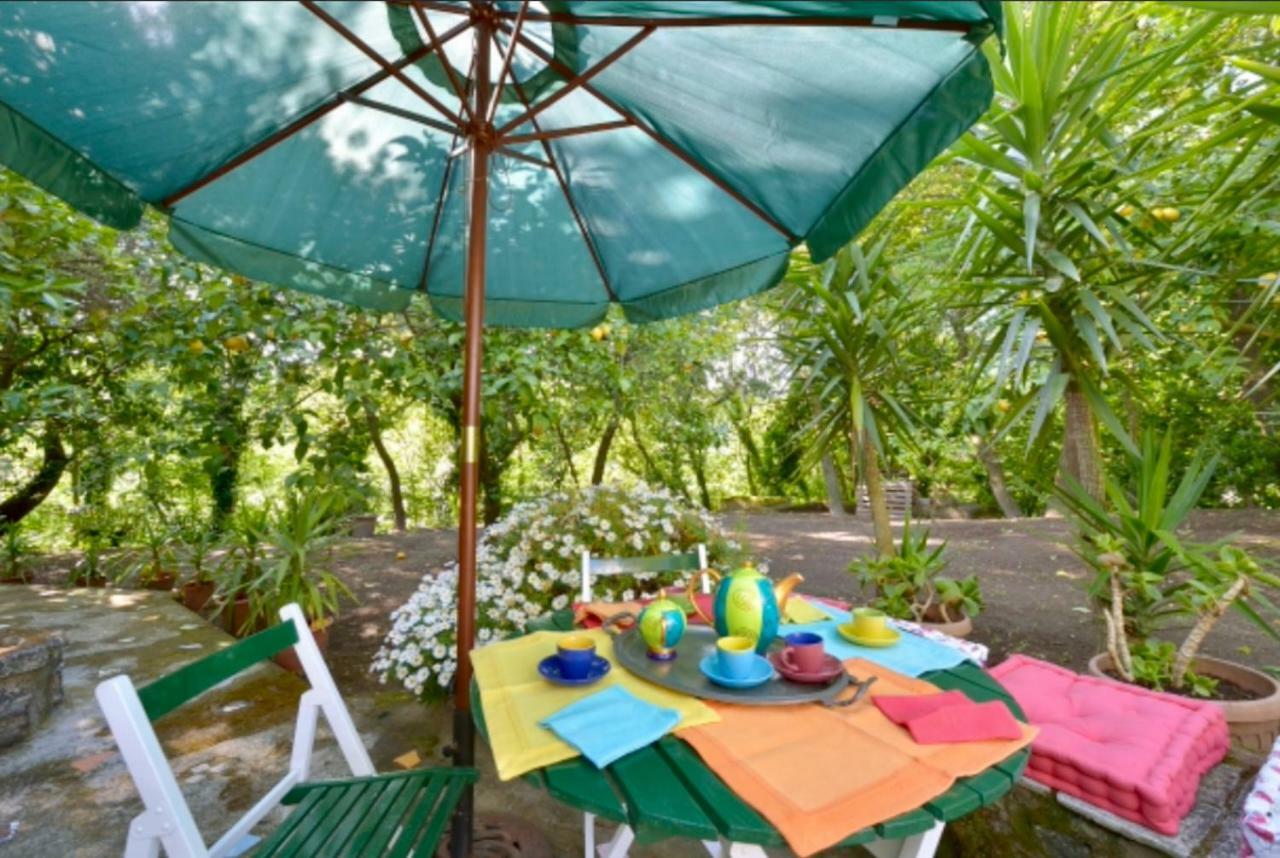 Villa Vincenzo Di Meglio Barano dʼIschia Exterior foto
