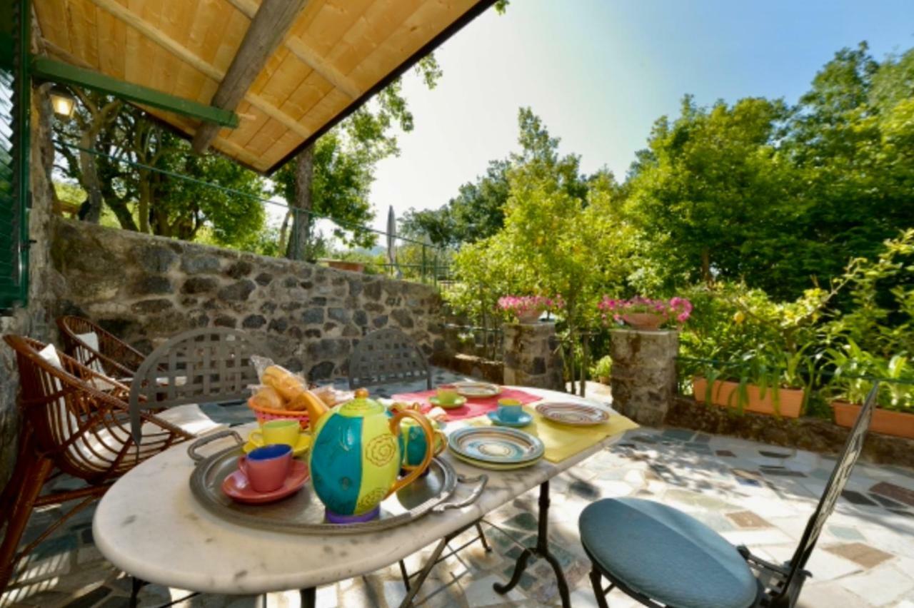 Villa Vincenzo Di Meglio Barano dʼIschia Exterior foto